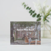 Squirrel Photo Bomb Briefkaart (Staand voorkant)