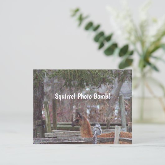 Squirrel Photo Bomb Briefkaart (Staand voorkant)