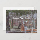Squirrel Photo Bomb Briefkaart (Voorkant / Achterkant)