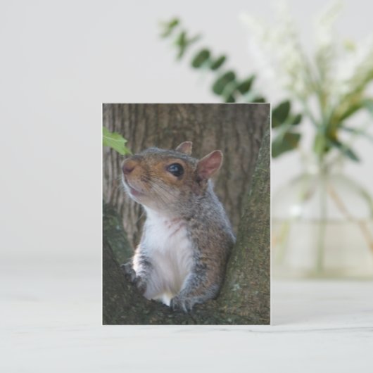 Squirrel Portrait Briefkaart (Staand voorkant)