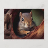 Squirrel Portrait Briefkaart (Voorkant)