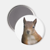 Squirrel Portrait Magnet (Voorkant / Achterkant)