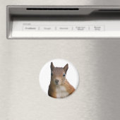 Squirrel Portrait Magnet (Insitu (Vaatwasser))