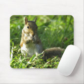 Squirrel Portrait Muismat (Met muis)