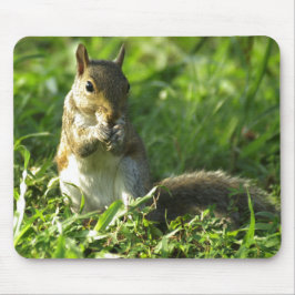 Squirrel Portrait Muismat