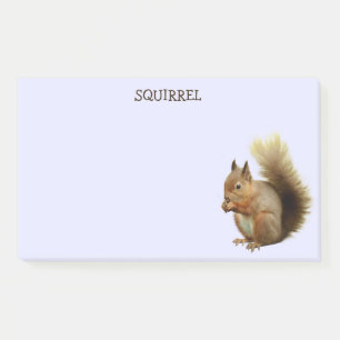 Squirrel Post-it Notes