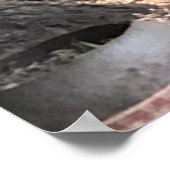 Squirrel Poster (Hoek)