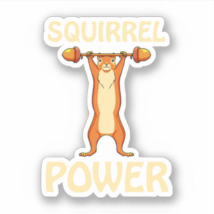 Squirrel Power Squirrel Rodent Dierenvrienden. Per Sticker