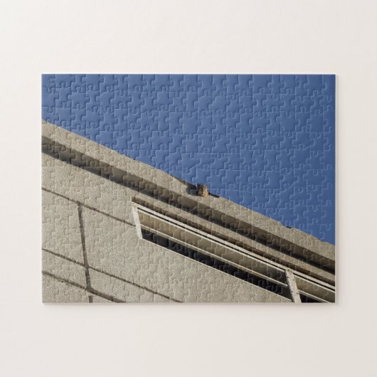 Squirrel Puzzle Legpuzzel (Horizontaal)