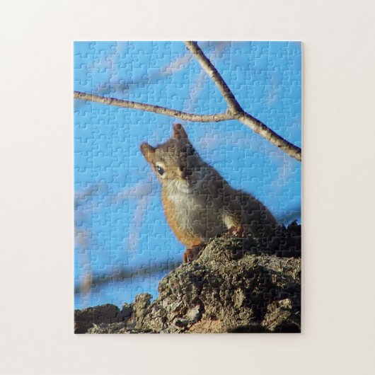 Squirrel Puzzle Legpuzzel (Verticaal)