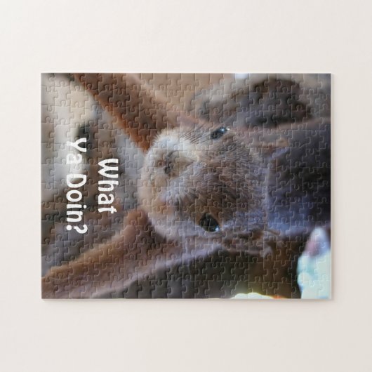 Squirrel Puzzle Legpuzzel (Horizontaal)