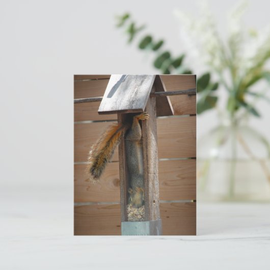 Squirrel Raiding Bird Feeder Briefkaart (Staand voorkant)