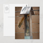 Squirrel Raiding Bird Feeder Briefkaart (Voorkant / Achterkant)