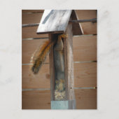 Squirrel Raiding Bird Feeder Briefkaart (Voorkant)