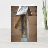 Squirrel Raiding Bird Feeder Kaart (Voorkant)