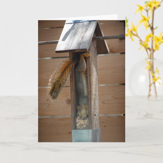 Squirrel Raiding Bird Feeder Kaart (Gele Bloem)