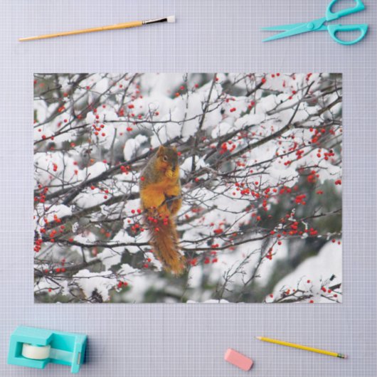 Squirrel Red Berries sneeuwboom Foto Tissuepapier (Craft)