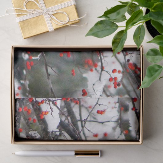 Squirrel Red Berries sneeuwboom Foto Tissuepapier (Geschenk)