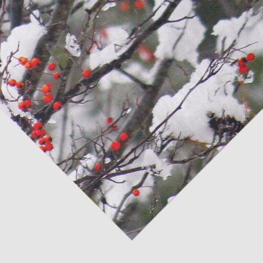 Squirrel Red Berries sneeuwboom Foto Tissuepapier (Detail)