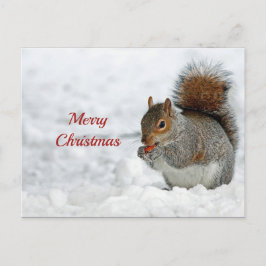 Squirrel Red Berry Sneeuwfoto Kerstmis Briefkaart