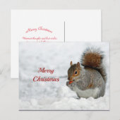 Squirrel Red Berry Sneeuwfoto Kerstmis Briefkaart (Voorkant / Achterkant)