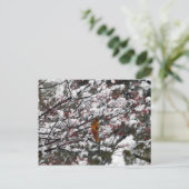 Squirrel Red Berry Tree Snow Briefkaart (Staand voorkant)