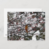 Squirrel Red Berry Tree Snow Briefkaart (Voorkant / Achterkant)