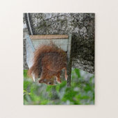Squirrel Red Rodent Cute Natuur Garden Meal Nut Legpuzzel (Verticaal)