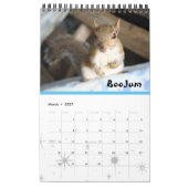 Squirrel Rehab | SquirrellyAF 2020 Wall Calendar Kalender (Mar 2027)