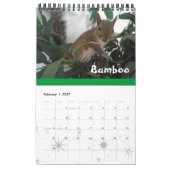 Squirrel Rehab | SquirrellyAF 2020 Wall Calendar Kalender (Feb 2027)