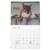 Squirrel Rehab | SquirrellyAF 2020 Wall Calendar Kalender (Jan 2027)
