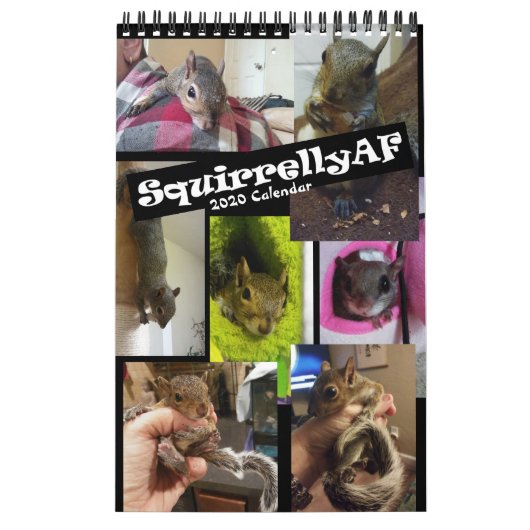 Squirrel Rehab | SquirrellyAF 2020 Wall Calendar Kalender (Hoes)
