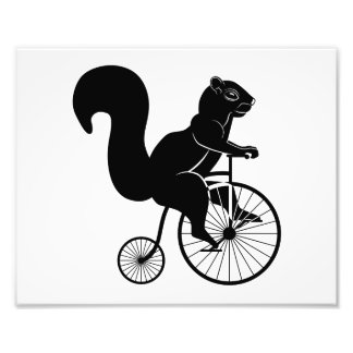 Squirrel Rider op Old Bike Foto Afdruk