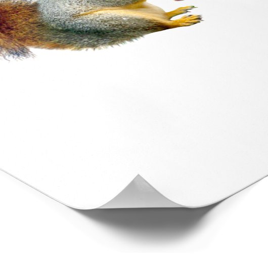 Squirrel School Poster (Hoek)