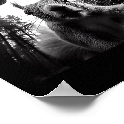 Squirrel Selfie With Alien Ufo Funny For Men Women Poster (Hoek)