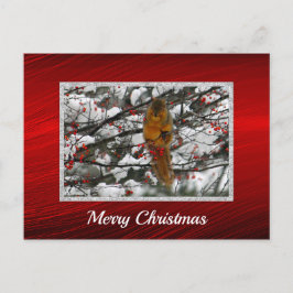 Squirrel Snow Berry Tree - Kerstfeest Briefkaart