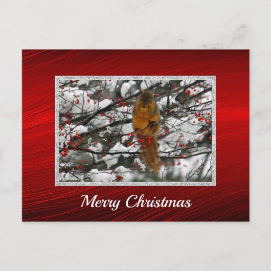 Squirrel Snow Berry Tree - Kerstfeest Briefkaart (Voorkant)