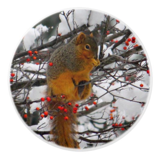 Squirrel Snow Red Berry Tree Foto Keramische Knop (Voorkant)