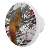 Squirrel Snow Red Berry Tree Foto Keramische Knop (Rechts)