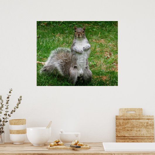 Squirrel Standing Poster (Keuken)