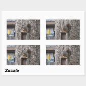 Squirrel Stickers (Vel)