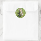 Squirrel Stickers (Tas)