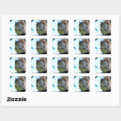 Squirrel Stickers (Vel)
