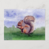 Squirrel Study Briefkaart (Voorkant)