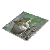 Squirrel Trivet Tegeltje (Zijkant)