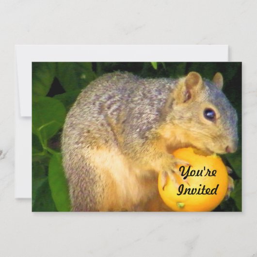 Squirrel_ Uitnodiging (Voorkant)