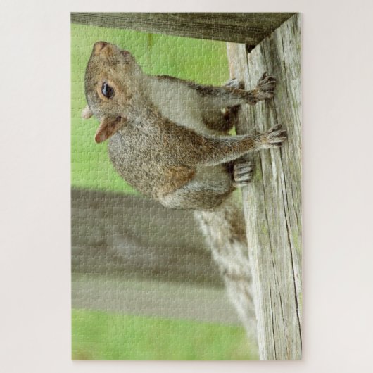 Squirrel Visitor Legpuzzel (Verticaal)