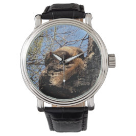 Squirrel Watch Horloge