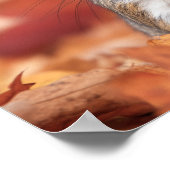 Squirrel Wild Animal Loving Portrait  Poster (Hoek)