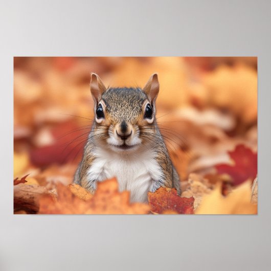Squirrel Wild Animal Loving Portrait  Poster (Voorkant)